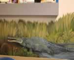 Office Wall Jungle Mural